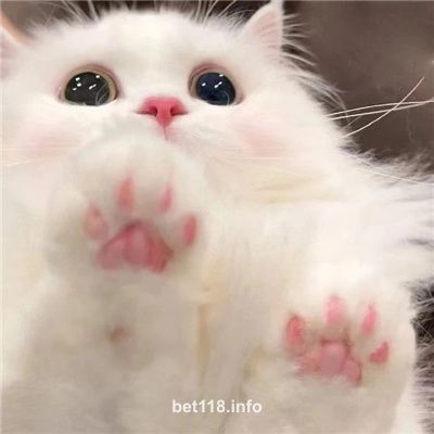 Người dùng Hoàng Đức